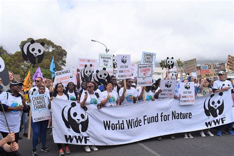 WWF South Africa .